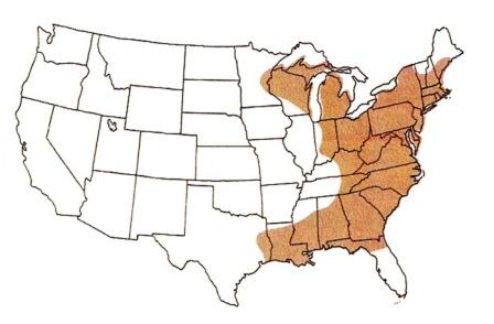 
Poison sumac territory in the U.S.

